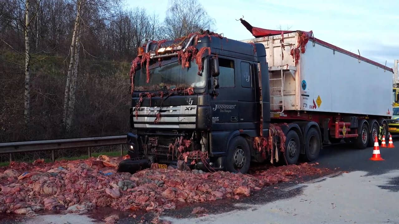 Beeld uit video: Slachtafval vliegt uit vrachtwagen bij botsing op A67