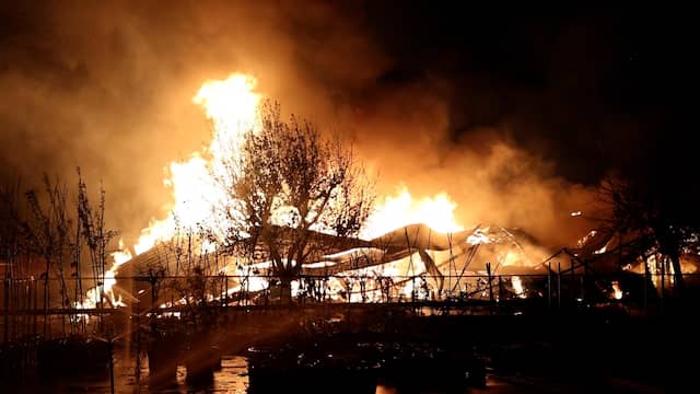 Stal gaat in vlammen op in Hazerswoude-Dorp, paarden gered