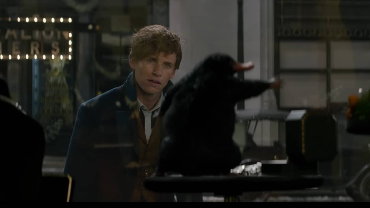 Recensieoverzicht: Potter Spin-off Fantastic Beasts Is 'heerlijke Chaos ...