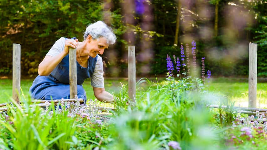 NUcheckt: Leef je langer door te tuinieren?
