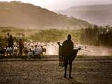 Droogte, overstromingen en nu wéér droogte: Oost-Afrika blijft weinig bespaard
