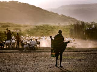 Droogte, overstromingen en nu wéér droogte: Oost-Afrika blijft weinig bespaard