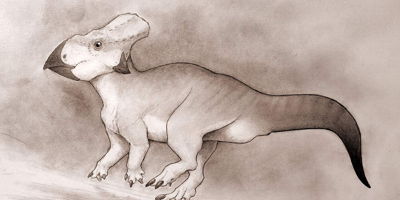 Kleine dinosaurus blijkt afkomstig uit 'verloren werelddeel'