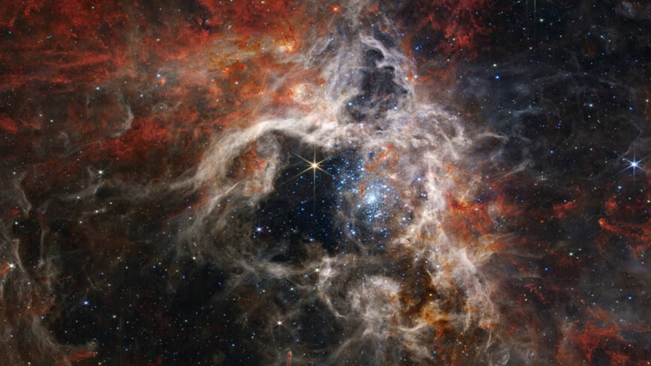 Teleskop James Webb menemukan ribuan bintang baru di Nebula Tarantula |  Ilmu Pengetahuan