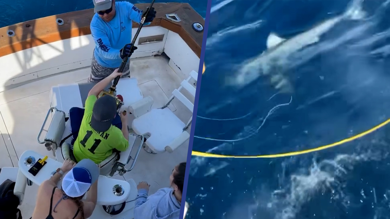Beeld uit video: Jongen (12) vangt witte haai in Florida