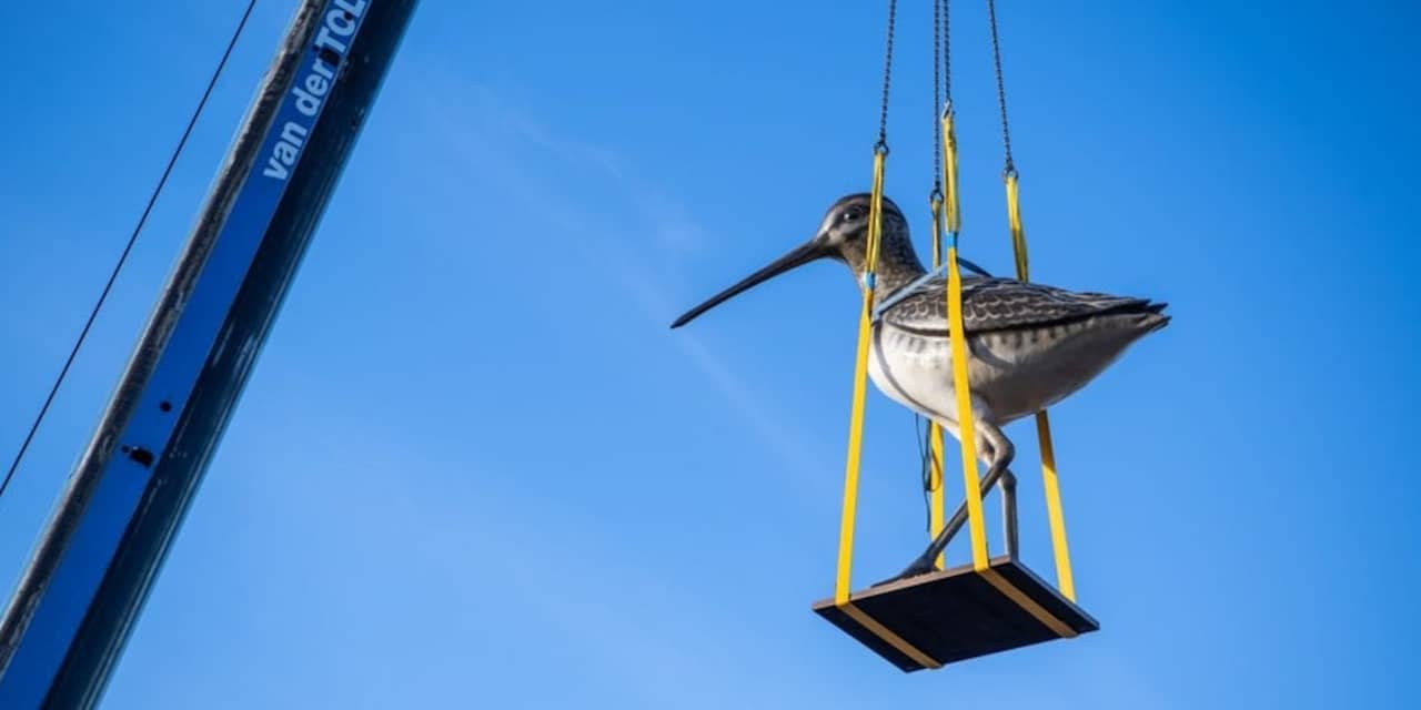 Parkeergarage Berlijnplein krijgt op het dak 3 meter hoog beeld van vogel