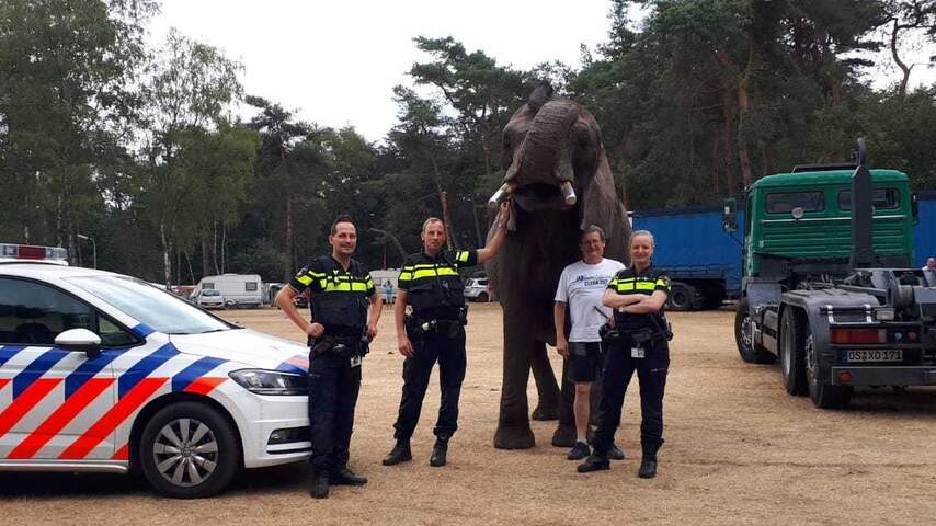 Inwoner Ommen belt politie vanwege olifant in voortuin