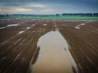 Boeren en tuinders in de problemen door hevige regenval: 'Enorm zorgwekkend'