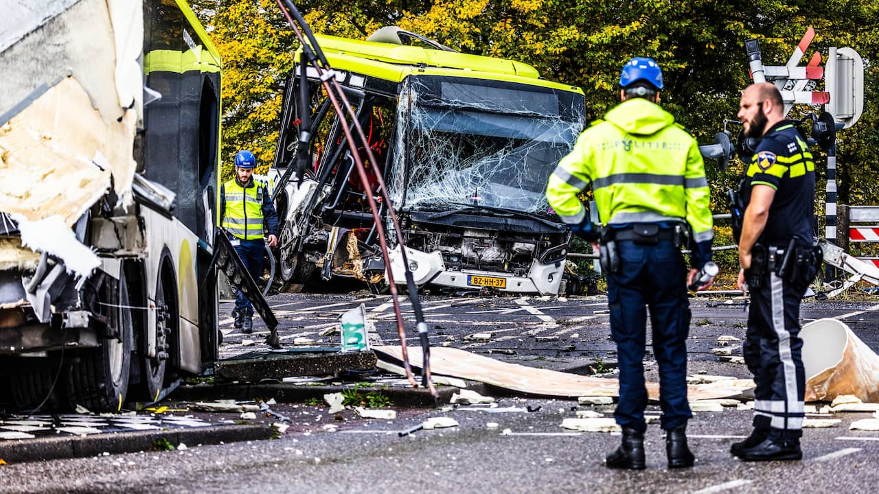 Accident in which train hit scheduled bus not the fault of the bus driver |  inland