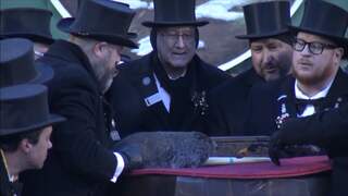 Bosmarmot 'Phil' voorspelt nog 6 weken winter op Groundhog Day