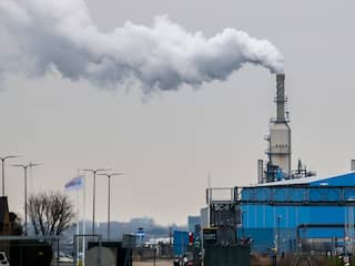 'Kabinet moet grote stappen nemen voor stikstofbeleid Nederland'