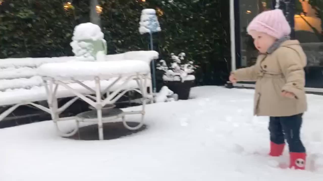 Beeld uit video: Flinke sneeuwval in 2017 maakte van Nederland winterlandschap