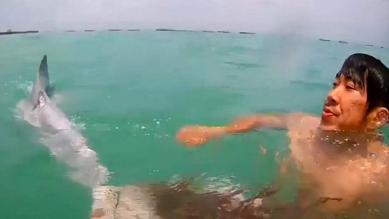Beeld uit video: Reddingswerkers Singapore bevrijden dolfijn uit net