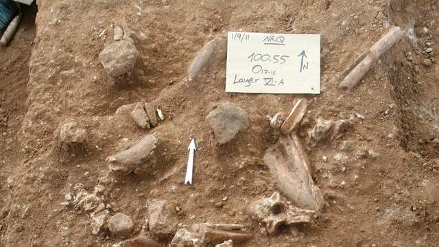 De Nesher ramla Homo leefde volgens de wetenschappers ruim 400.000 jaar geleden in de regio.