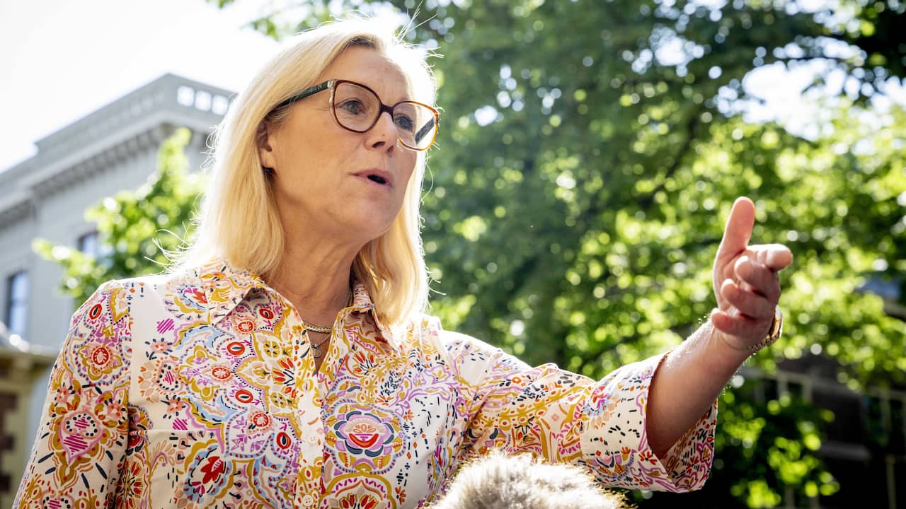 D66-leder Kaag slutter i politikken etter valget: «Jeg krever for mye av familien min» |  Forlat toalettet og forlat Rutte