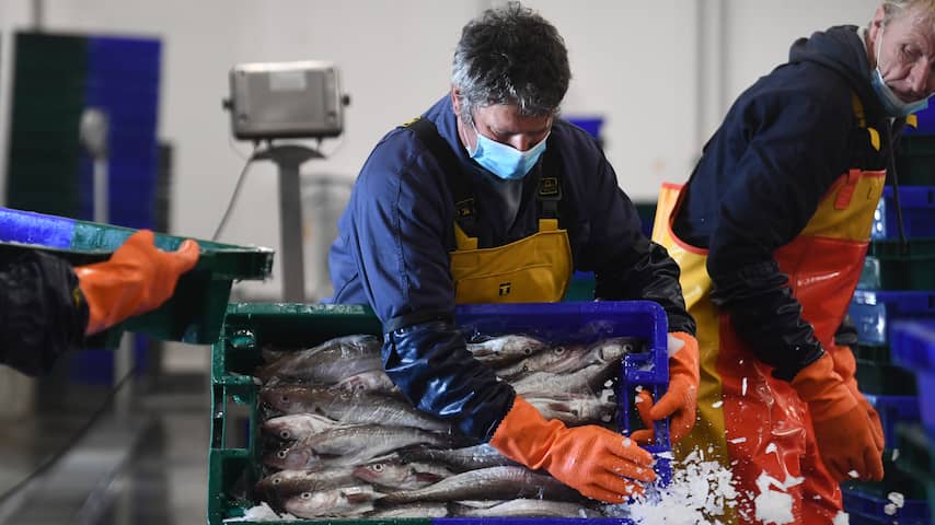 Britse vissers krijgen vanwege Brexit extra compensatie