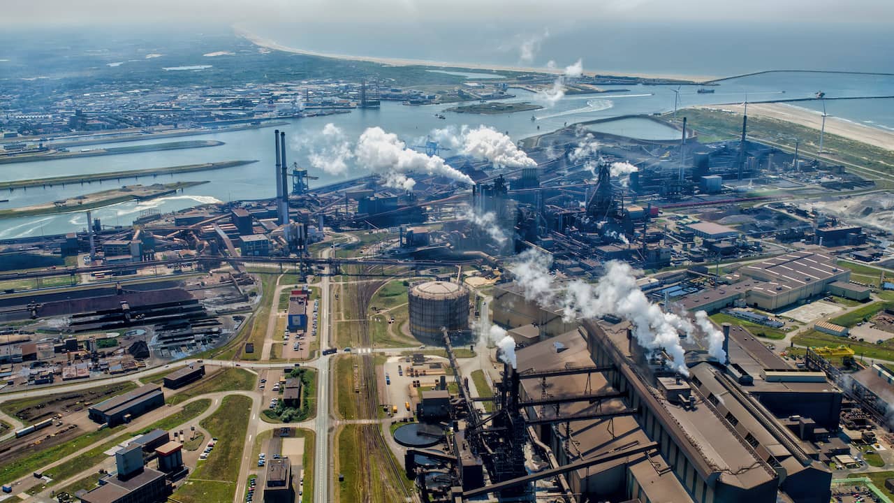 Tata Steel - IJmuiden (the Netherlands), Wolly