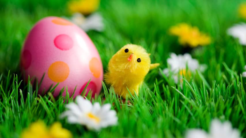 begaan Tot delicaat Paaseieren mogen maand voor Pasen al in de winkels liggen' | Eten en  drinken | NU.nl