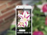 Google rolt Lens-functie uit voor alle Android-gebruikers
