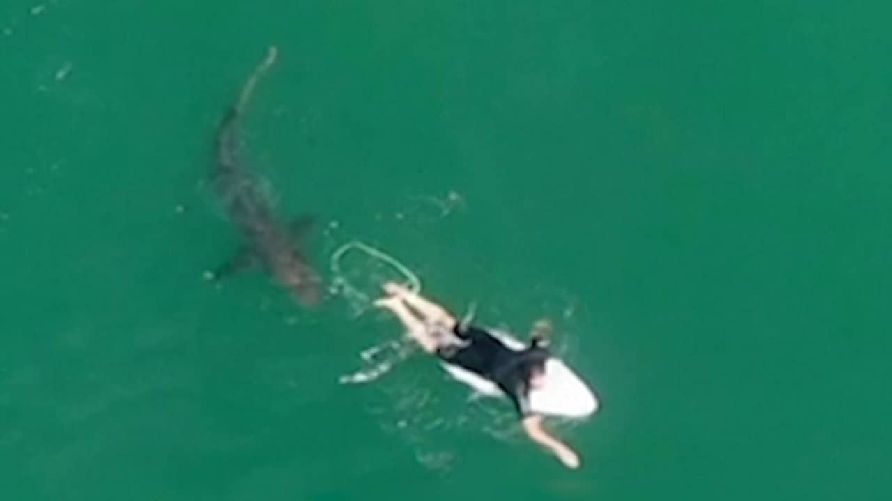 Beeld uit video: Haai nadert Australische surfer, drone geeft waarschuwing af