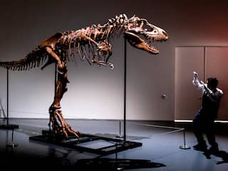Gorgosaurus geveild voor 6 miljoen