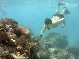 Toerismeorganisaties Australië bezorgd om incidenten Barrier Reef