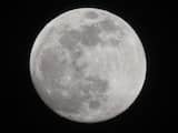 Dinsdag 19 februari: Volle maan op dinsdagochtend, net voor maansondergang.