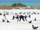 Kleine drones populairder in Nederland