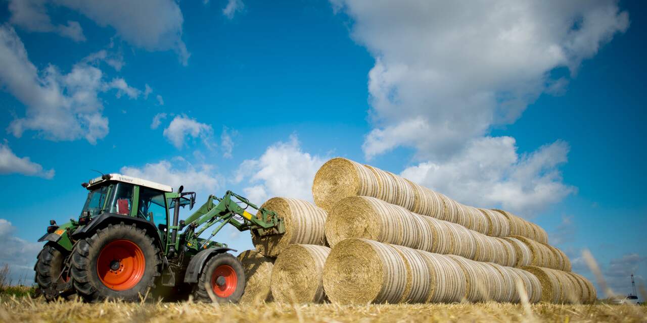 Waarde landbouwexport Nederland bereikt recordhoogte in 2015