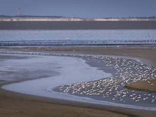 Waddenzee dreigt UNESCO-status te verliezen door zout- en gaswinning