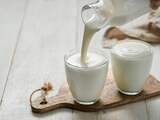 karnemelk