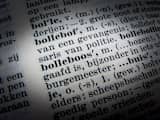 Influencer en airfryer: Dikke Van Dale voegt bijna duizend Engelse woorden toe