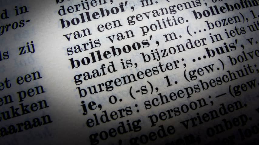 Influencer en airfryer: Dikke Van Dale voegt bijna Engelse woorden toe | Boek Cultuur | NU.nl