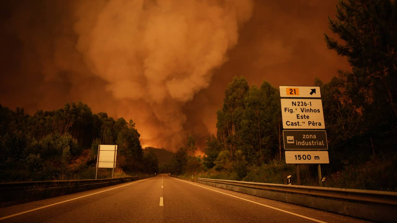 Tientallen Doden Bij Grote Bosbrand In Portugal | Buitenland | NU.nl