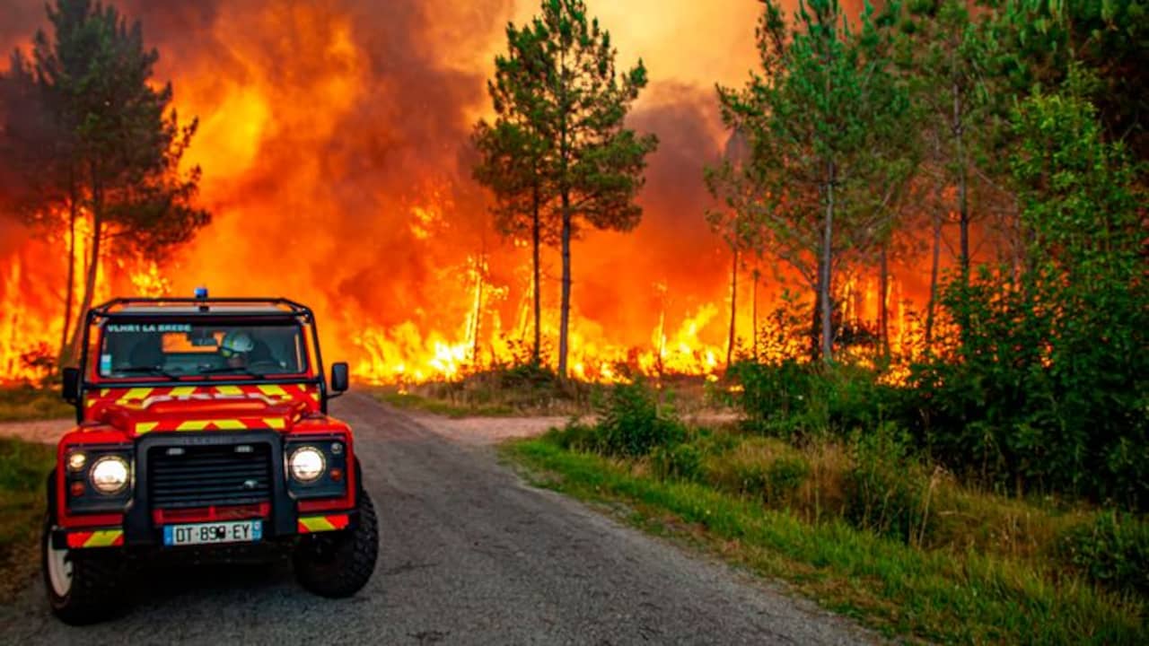 Forest fire in southwest France finally under control after almost two weeks |  NOW