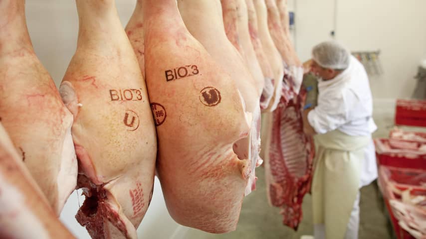 China staakt import Nederlands varkensvlees na corona-uitbraak slachthuizen