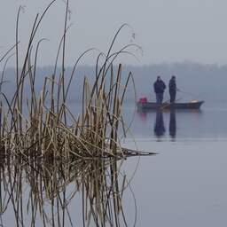 Weekendweerbericht: Waterkoud en droog met kleine kans op natte sneeuw