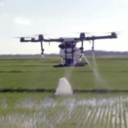 Drones bestrijden malariamuggen in Zanzibar