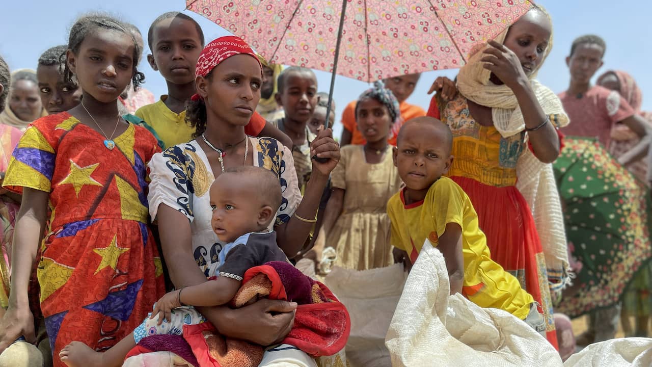 L’UNICEF segnala un aumento del numero di matrimoni precoci nel Corno d’Africa a causa della siccità |  ADESSO