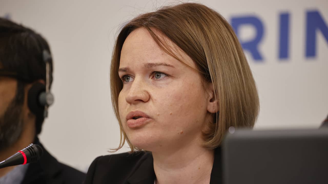 Il capo di Amnesty Ucraina si dimette dopo un rapporto critico |  ADESSO
