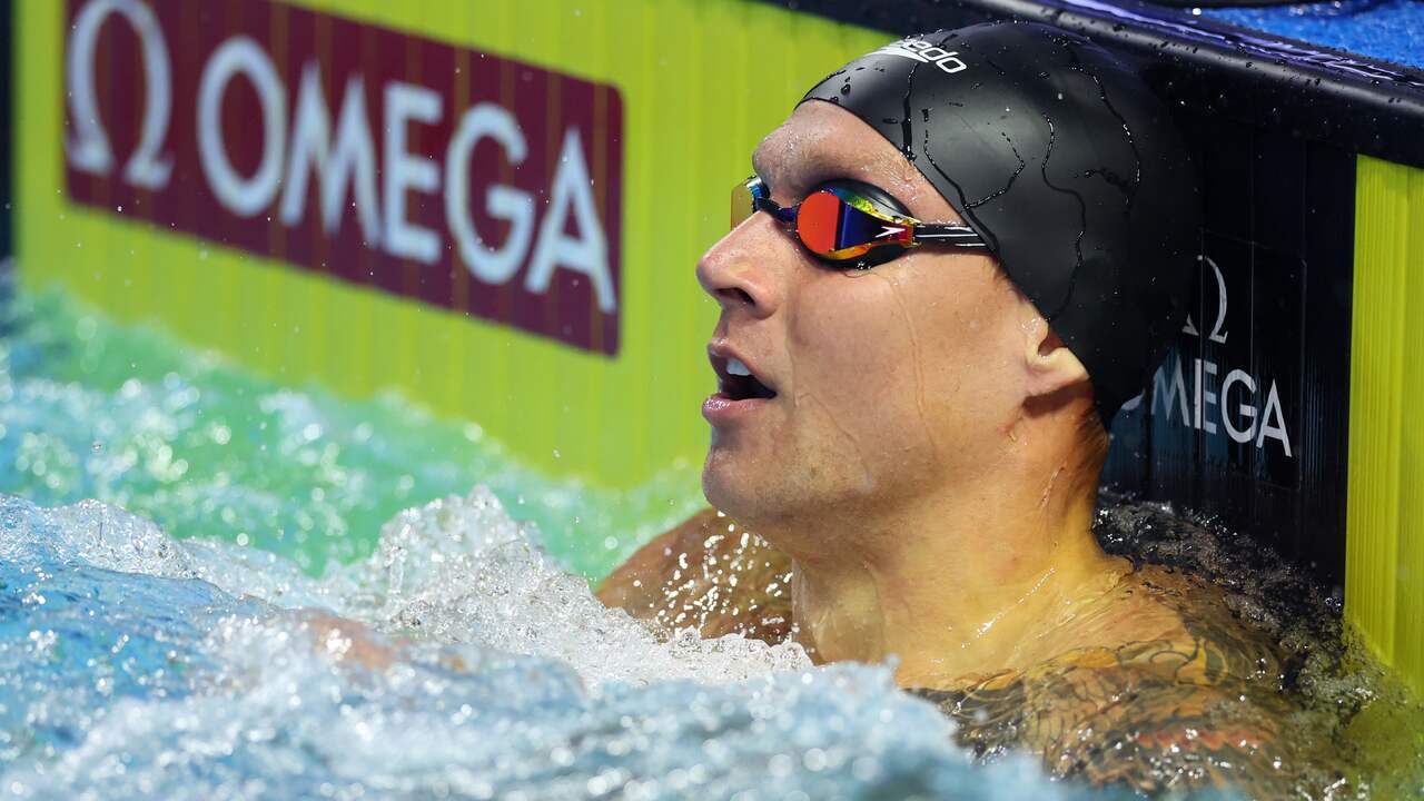 Il sette volte campione olimpico di nuoto Dressel continua a fallire, manca il campionato del mondo |  Sport Altro