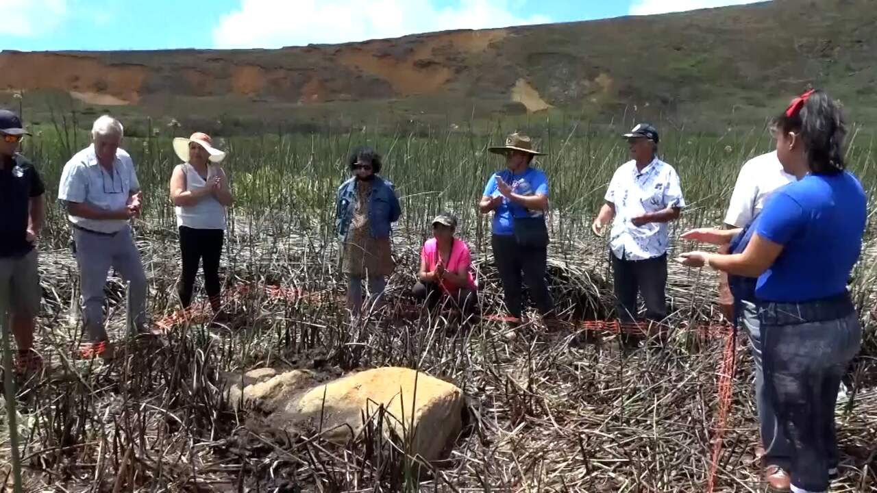 Beeld uit video: Bewoners van Paaseiland bewonderen ontdekt moaibeeld
