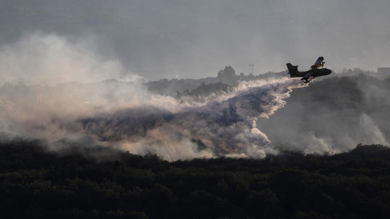 Des vacanciers néerlandais évacués d’un camping français en raison d’un incendie de forêt |  À PRÉSENT