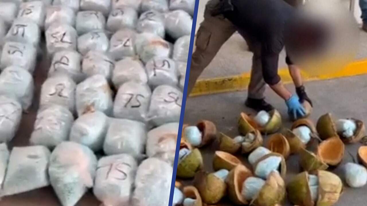 Beeld uit video: Mexicaanse politie vindt 300 kilo fentanyl in kokosnoten
