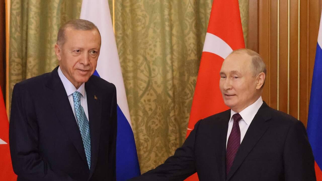Erdogan pins great hopes on re-launching the grain deal after the agreement with Putin |  Economy