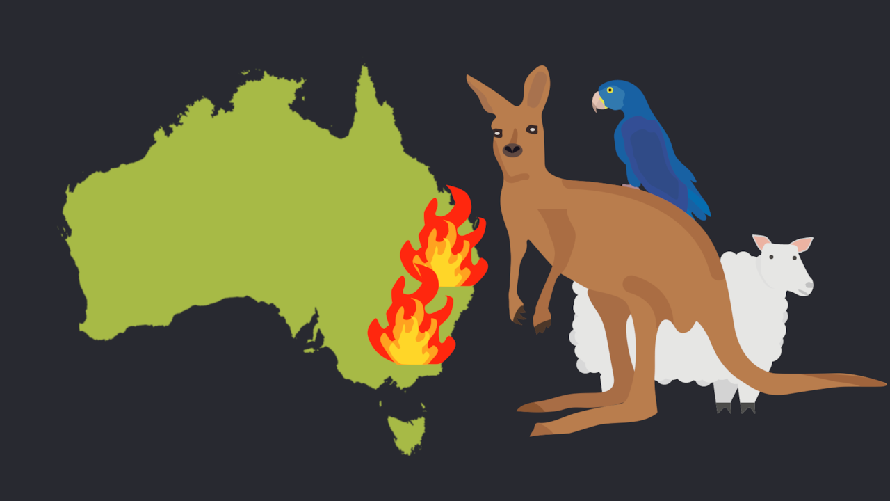 Beeld uit video: Waarom zijn de bosbranden dit jaar zo heftig in Australië?