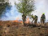 Grote branden in Brabantse en Limburgse natuurgebieden
