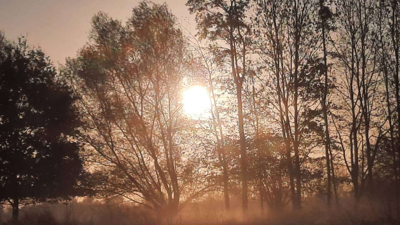 Woensdag 4 november: De zon breekt door tijdens deze koude, maar mooie ochtend in Liempde (Noord-Brabant).