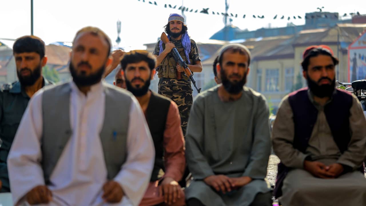 I talebani dichiarano che le università sono vietate alle donne afghane |  all’estero