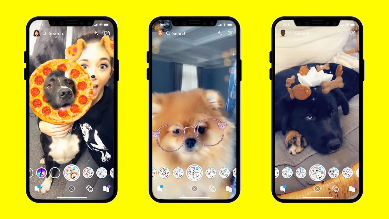vee Souvenir Aanleg Snapchat voegt filters geschikt voor honden toe | Apps | NU.nl